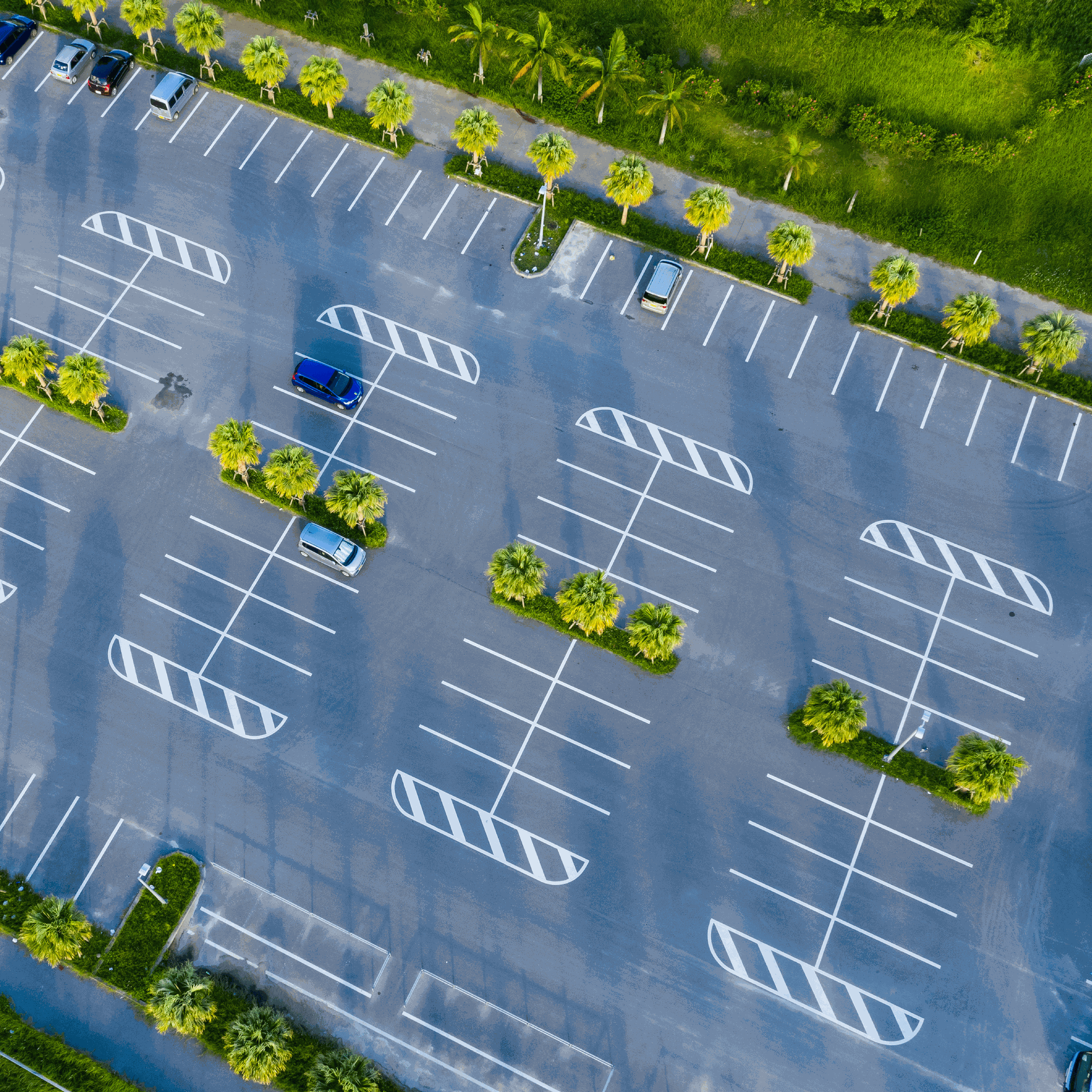 PaintMaster Parking - paintmaster-parking-2.png